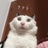 咚。