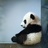 潦草白纸