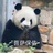 豆友
