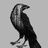Raven