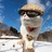 猫叔的小马甲