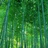一川河沙