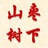 山枣树下