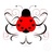 一只ladybug