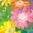 dandelionjuice