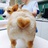 玛瑙BBDuck
