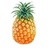 PineappleHead