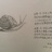 加油啊少女