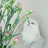 就是偏爱猫