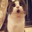 猜猜我叫啥