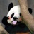 屋子里的一般人
