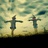 Vision&Fantasy