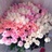 Candee_MSY