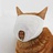 猴哞猴哇