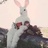 Ray🐰