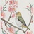 清