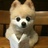 Lynn_囡