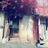巫师老婆婆