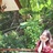 菜菜子开心嘛