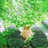 夏日晚风