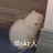 绿蔗