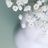 蛋花汤