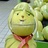 你好，摩羯