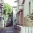 湖里