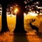 liber