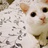 索啦啦sola