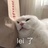 墨墨