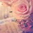 KJ_Amy