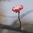 春夏