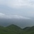 半夏萱草