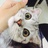 养只猫儿叫芋头