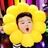 小雏菊