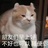 鸟生鱼汤