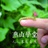 燕山学堂