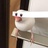 八尾猫