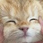 cheshire cat