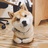 R先生