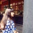 勇敢的小黑人