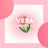 桃吉SPPING