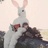 BBRabbiT