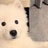 逃