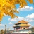 白芍