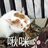 知知知