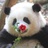 窜访毛兔