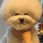 高桥凉介