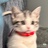 你猜我猜不猜
